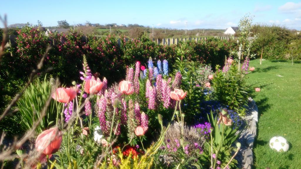 Atlantic Way B&B Grange  Eksteriør billede